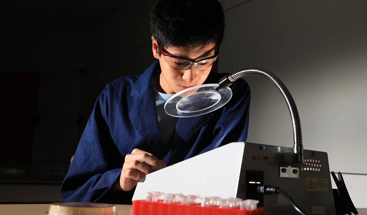 The King's School Senior Student Working On a Science Project