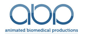 Animated Biomedical Productions