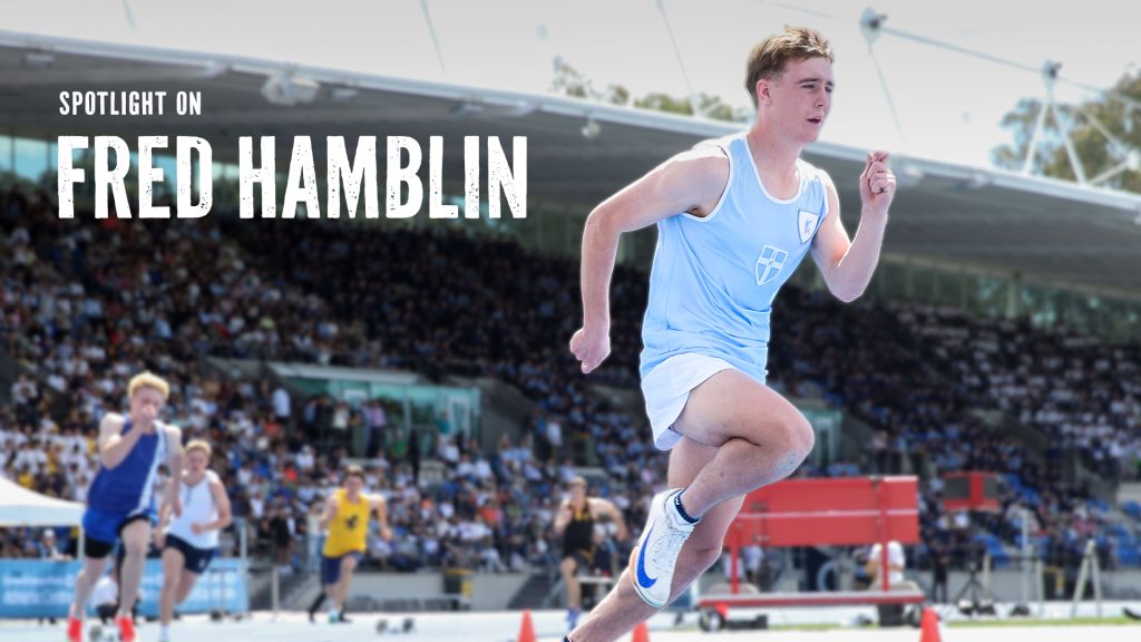 Spotlight On Fred Hamblin